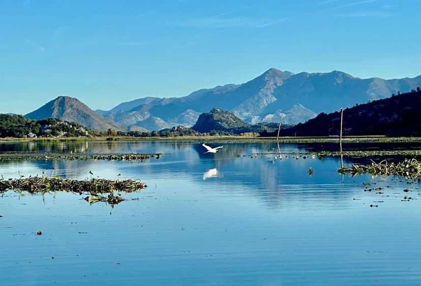 Île de Vranjina