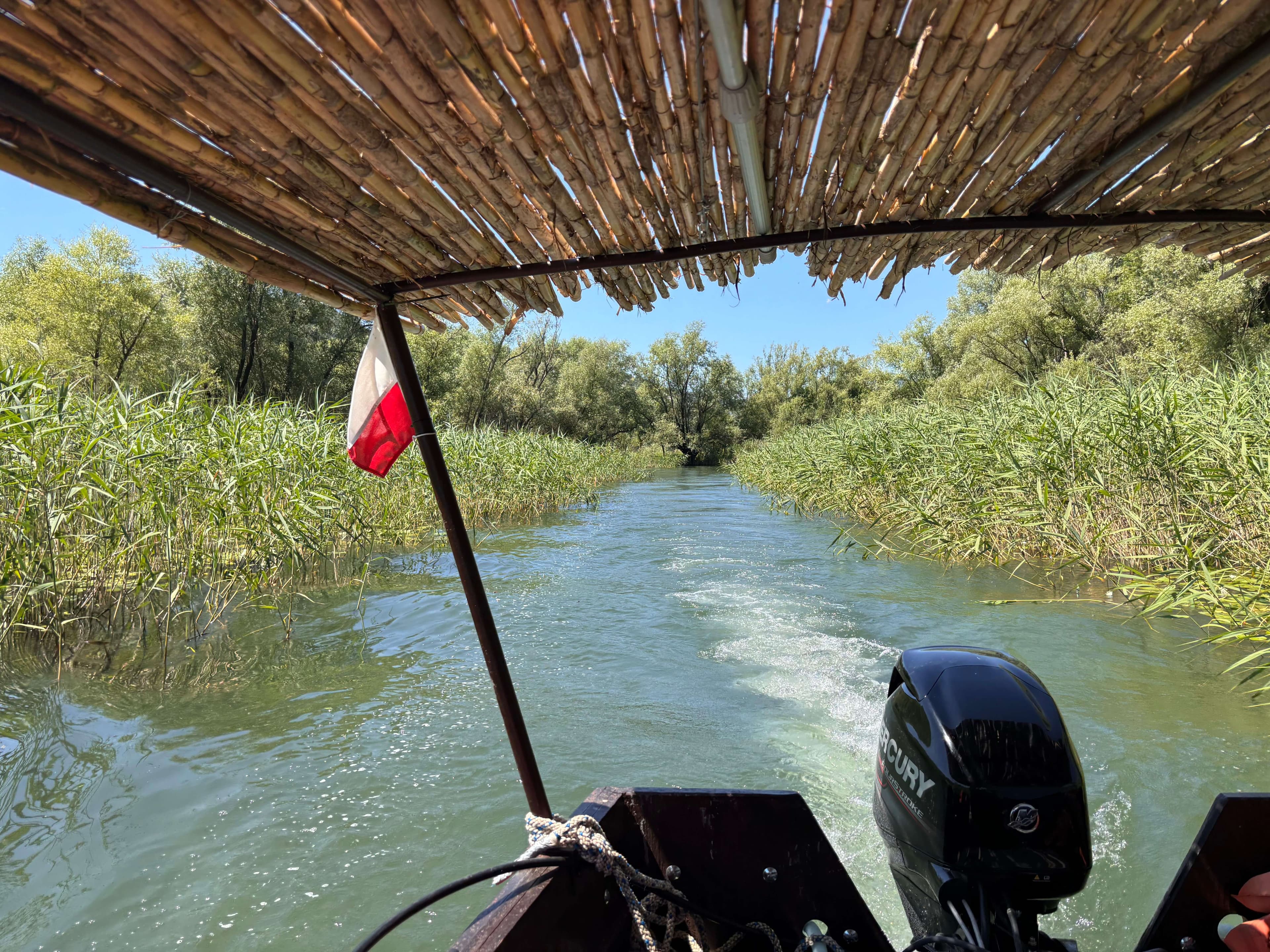 Bateau privé dans un canal de roseaux étroit de la rivière Crnojević lors de l'excursion 3 Rivers & Lake Unforgettable Jungle sur le lac Skadar